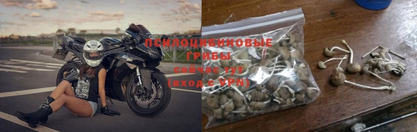 мдпв Киреевск