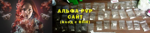 ПСИЛОЦИБИНОВЫЕ ГРИБЫ Касимов