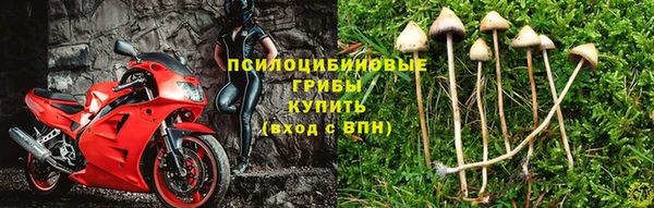 стаф Кинешма