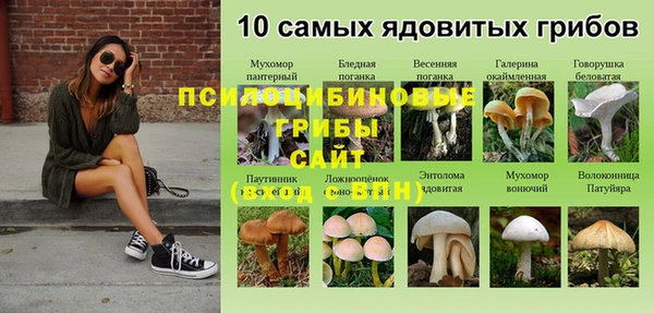 мдпв Киреевск