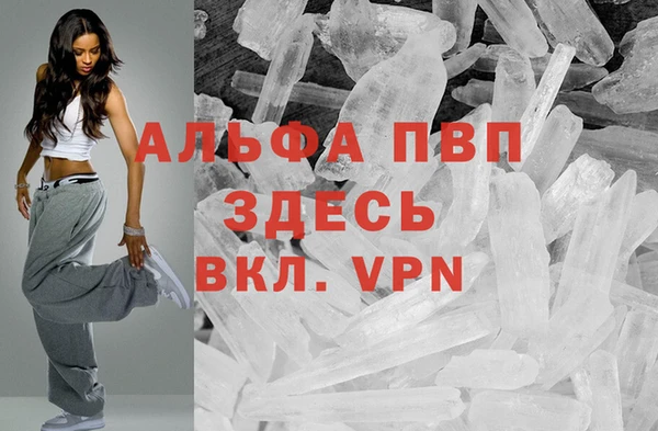 стаф Кинешма