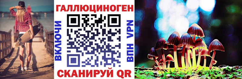 Псилоцибиновые грибы прущие грибы  Камышин 