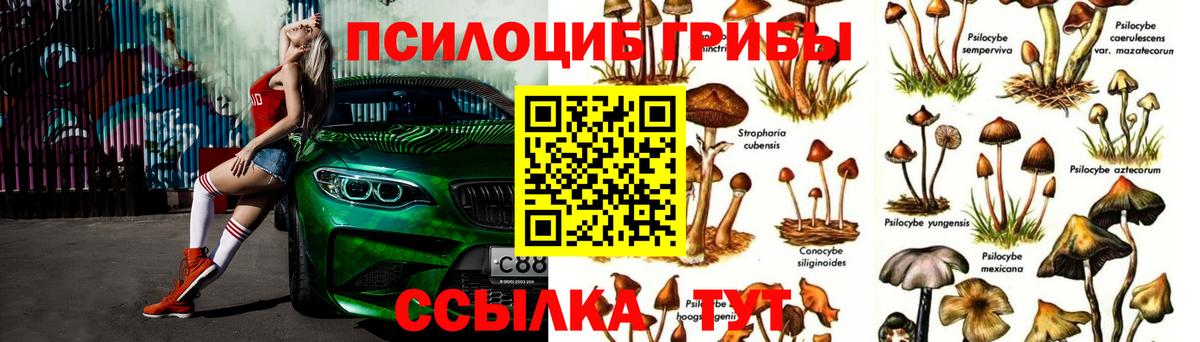 Галлюциногенные грибы Magic Shrooms  Псилоцибиновые грибы Magic Shrooms  Камышин  Вход с VPN 